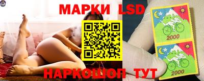 Альфа ПВП Малгобек