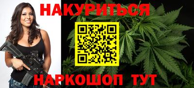Альфа ПВП Малгобек