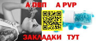 Альфа ПВП Малгобек