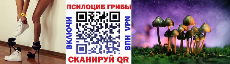 наркотики Арзамас Галлюциногенные грибы мухоморы