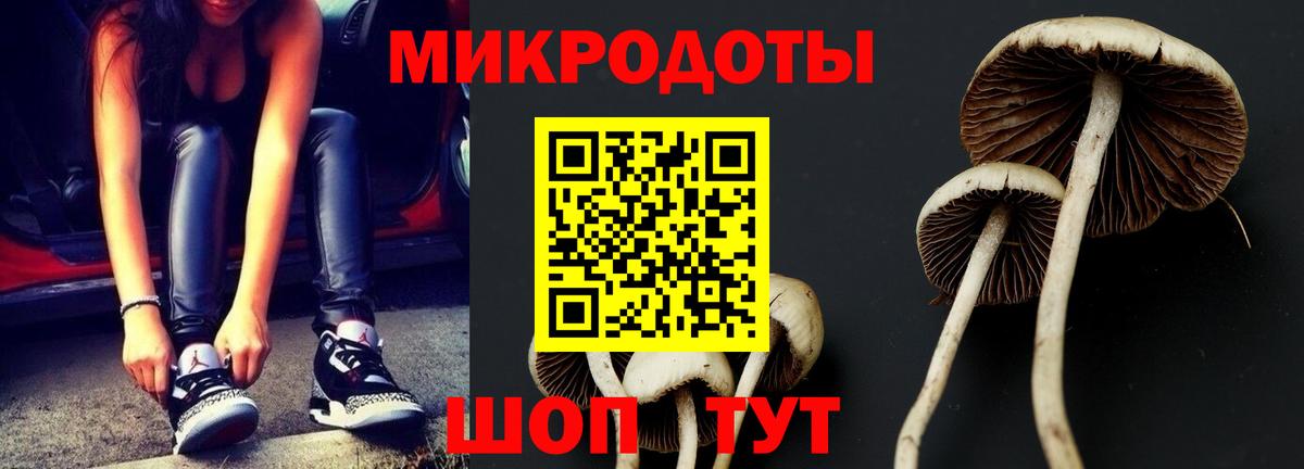 Псилоцибиновые грибы ЛСД  где продают наркотики  Арзамас  Вход с VPN 